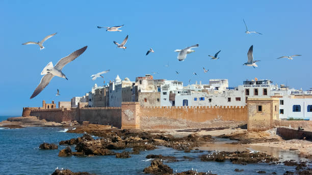 Experience the Magic of the Atlantic: Essaouira Day Trip